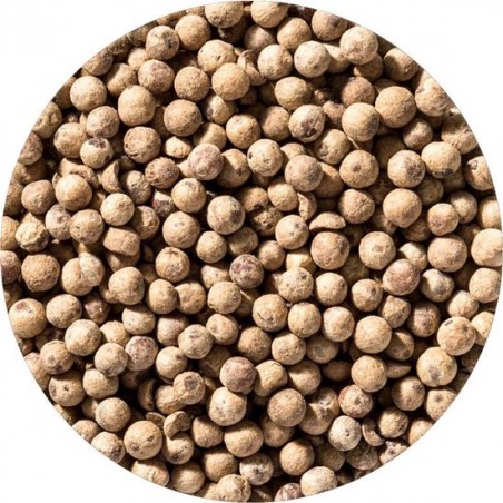 Witte Peper India Biologisch 1 kg