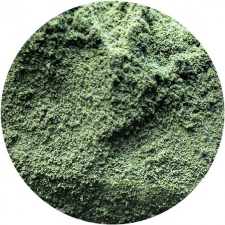 Chlorella Poeder Biologisch 100 gram