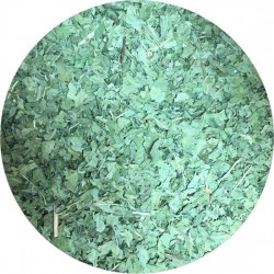 Coneflower Purple Cut Organic 100 gram