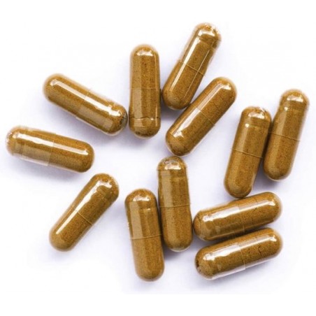 Curcuma 600mg kiemarm Biologisch 1000 caps