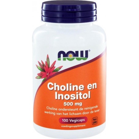 Choline en Inositol 500 mg - NOW Foods