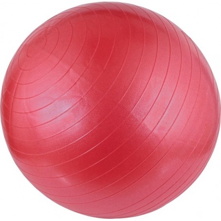 Avento Fitness/Gymbal - Ø 65 cm - Roze - 65