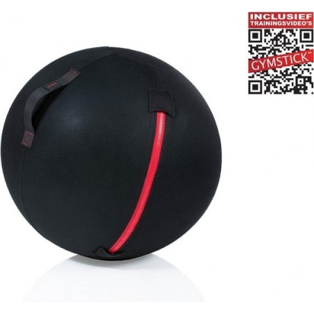 Gymstick Office Ball - 75 cm - Met Online Trainingsvideo's