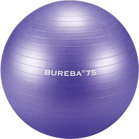 Trendy Sport - Professionele Gymnatiekbal - Fitnessbal - Bureba - Ø 75 cm - Paars - 500 kg belastbaar - Tuv/GS getest