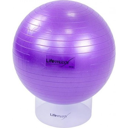 Gym ball 55cm - paars