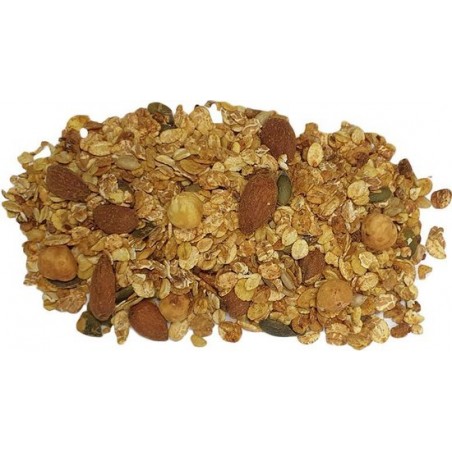 Granola - 500 gram