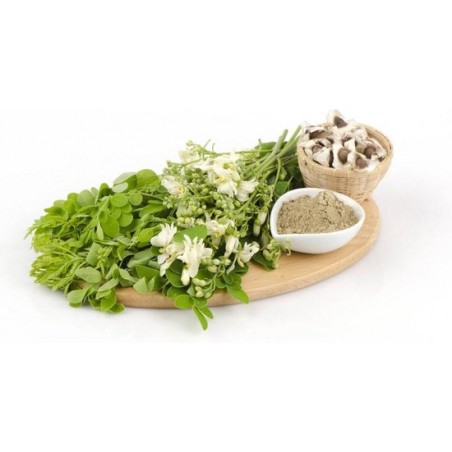 Moringa zaden ongepeld 50g